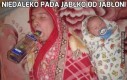 Niedaleko pada jabłko od jabłoni