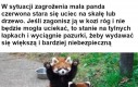 POTĘŻNA panda