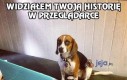 Widziałem Twoją historię w przeglądarce