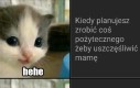Nie umiem robić memów