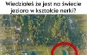 Tylko o nie tu chodzi