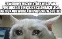 To musi boleć