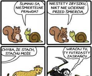 Wracaj tu!