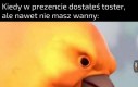 No i po co?