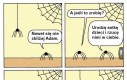 Problemy pająków