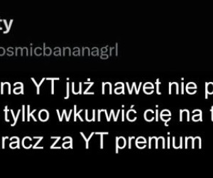 Fakty