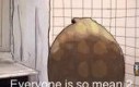 Rel