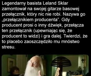 Zadziwiająco wielu