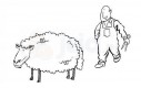 Samobójstwa zajączka: Strzyżenie owiec