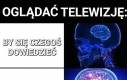 CO TAM GADASZ?!?!? NE SŁYSZE!!!