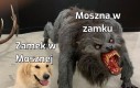Opolszczyzna mentioned