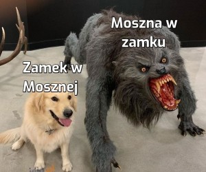 Opolszczyzna mentioned