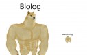 Biologiczne śmieszki