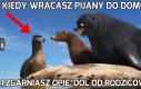 Kiedy wracasz pijany do domu