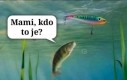 A to szlora