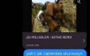 Proszę przestać do mnie pisać