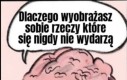 O kolendra