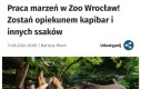Tak to można pracować