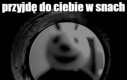 Biedronka