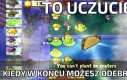 Świat jest taki piękny