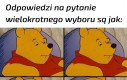 Odpowiedzi takie są