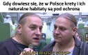 Tylko i wyłącznie dlatego nie mamy jeszcze na Podhalu San Francisco