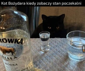 Na trzeźwo się nie da