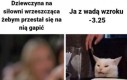 Kim jesteś