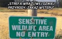 Wrażliwa dzika natura