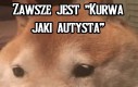 I tak zawsze