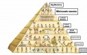 Starożytny Memipt - warstwy społeczne