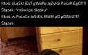Zdecyduj się