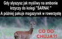 Jeśli to czytasz to znaczy że zmieniłeś się w dzika