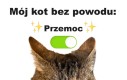 Żarty się skończyły
