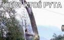 Jest ok