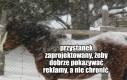 Tak to jest