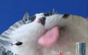 Mlem