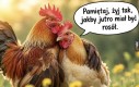 Czy u was też w niedzielę rosół?