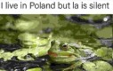 Angielskie śmieszki