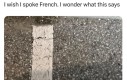 Le Francuski la język