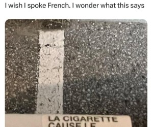 Le Francuski la język