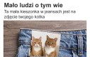 Teraz Ty też wiesz