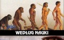 Ewolucja według...