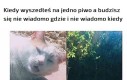Nie tak miało być