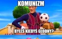 To tak działa