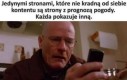 Coś w tym jest