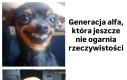 Lekko nie jest