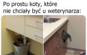Kryć się!