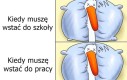 Wakacje dobrze to obrazują