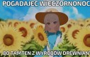 Pogadajec wieczornonocny
